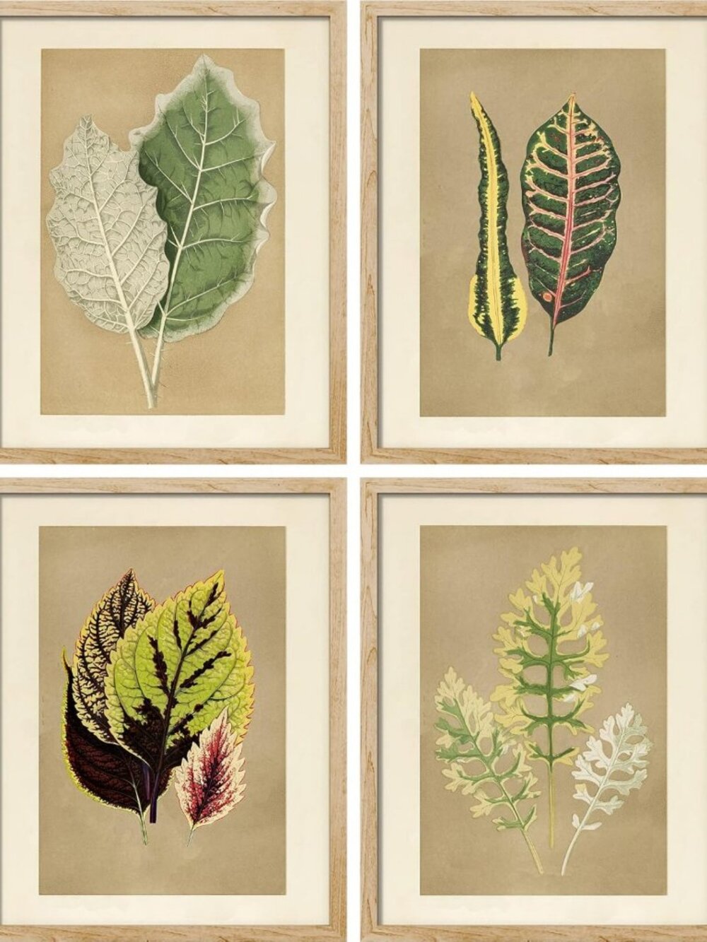 Colorful Fall Forest Tree Wall Art Set of 4, Nature Leaf Collage Decor Prints